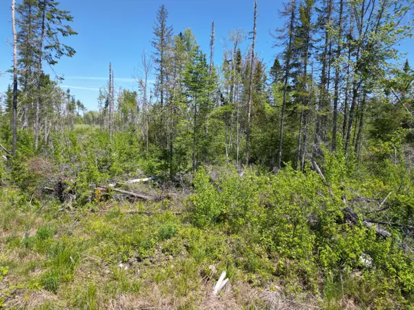 Lowell, ME 04493,Lot 8 Riverbend RD