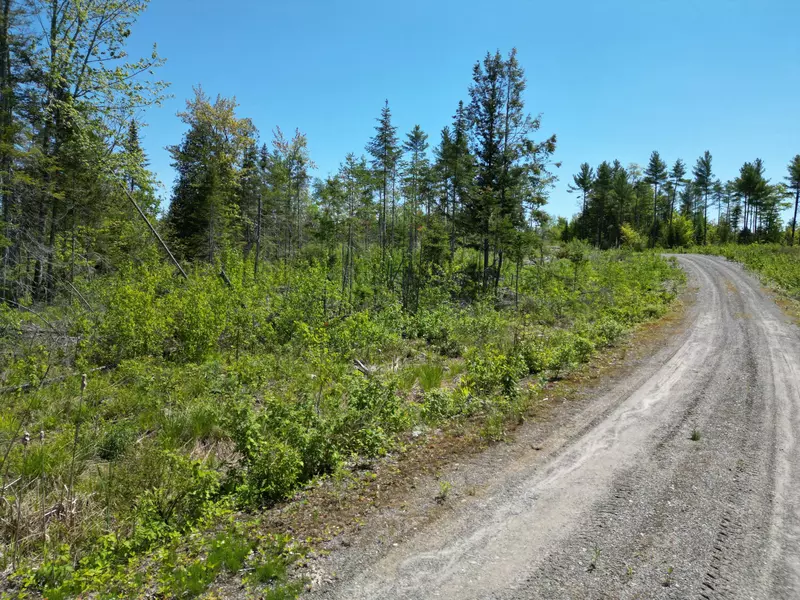 Lot 8 Riverbend RD, Lowell, ME 04493