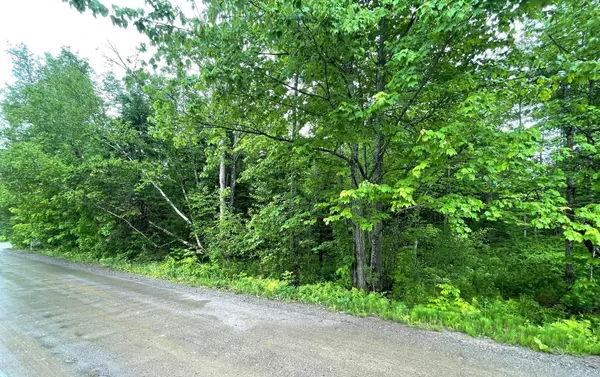 Stetson, ME 04488,M1 L 11-3 Coboro Road