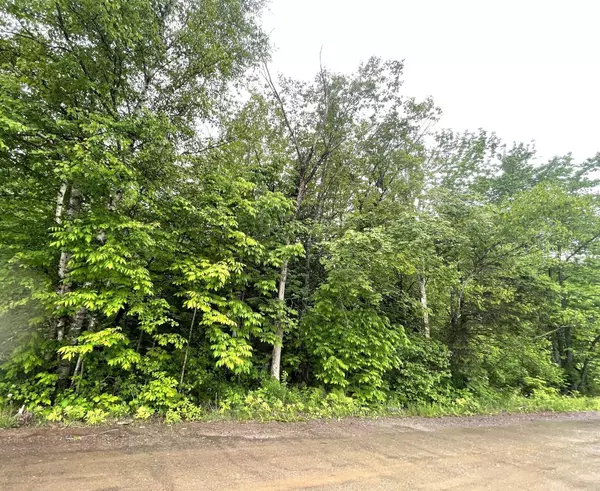 Stetson, ME 04488,M1 L 11-3 Coboro Road