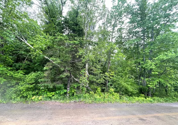 Stetson, ME 04488,M1 L 11-3 Coboro Road