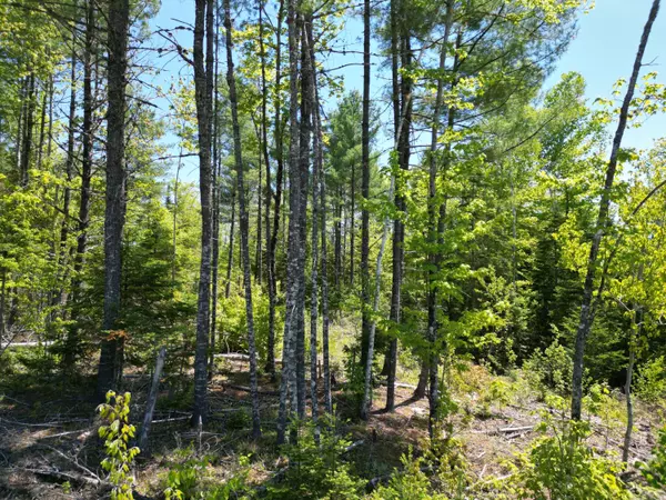 Lowell, ME 04493,Lot 9 Chickadee LN