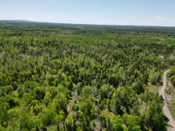 Lowell, ME 04493,Lot 9 Chickadee LN