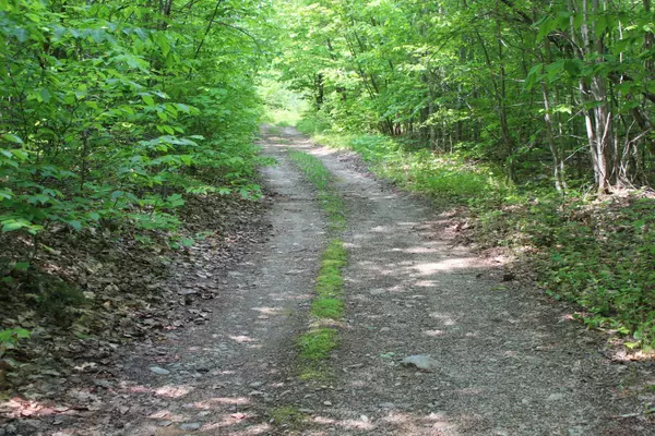 Merrill, ME 04747,213 Clark Road