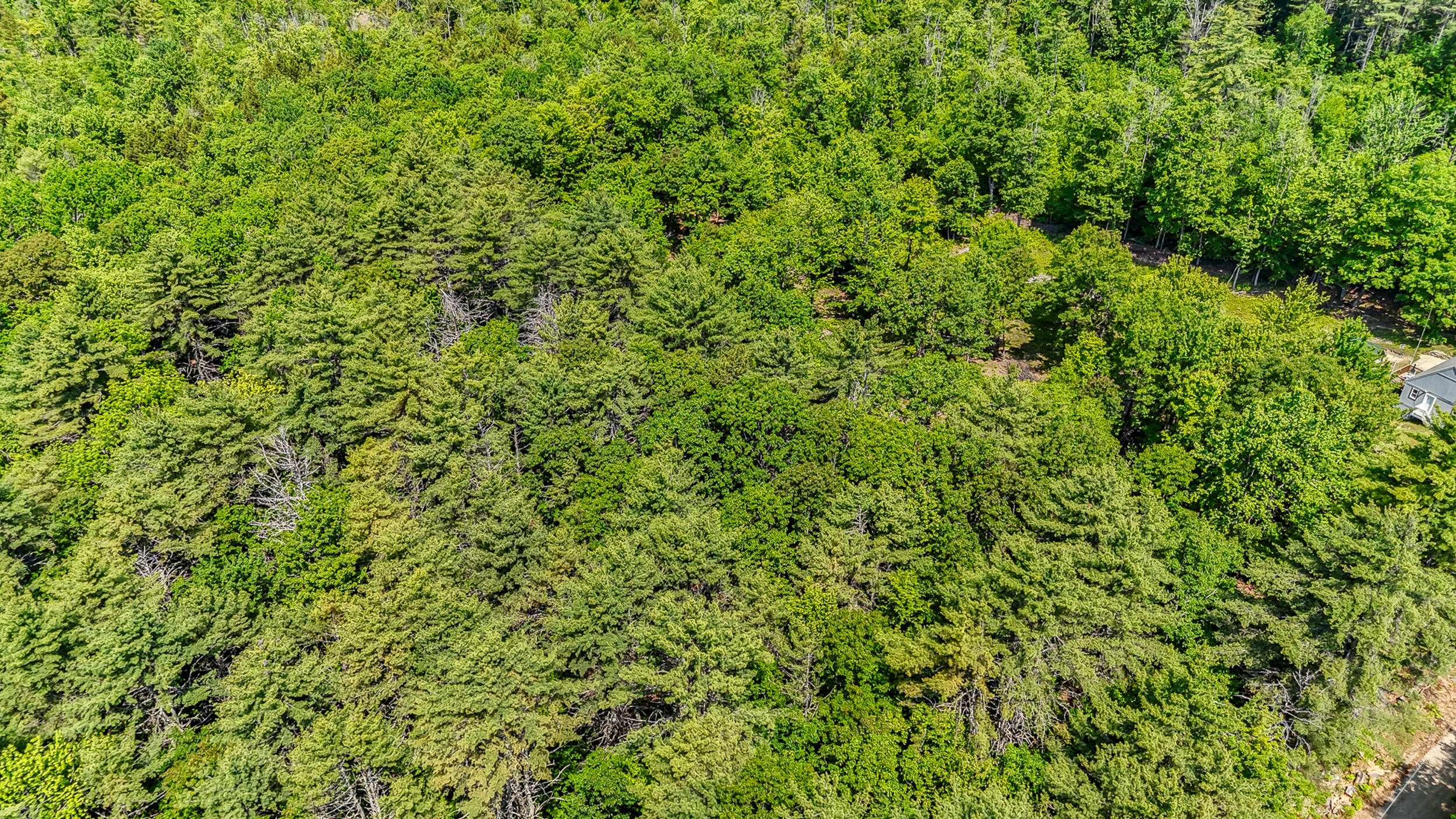 Parsonsfield, ME 04047,0 Milliken RD