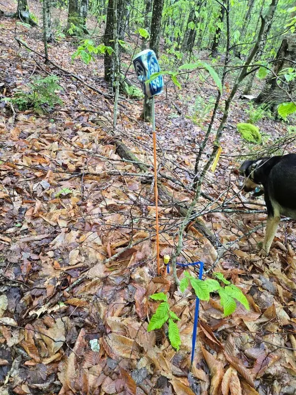 Smithfield, ME 04978,Lot 11 Patriots LN