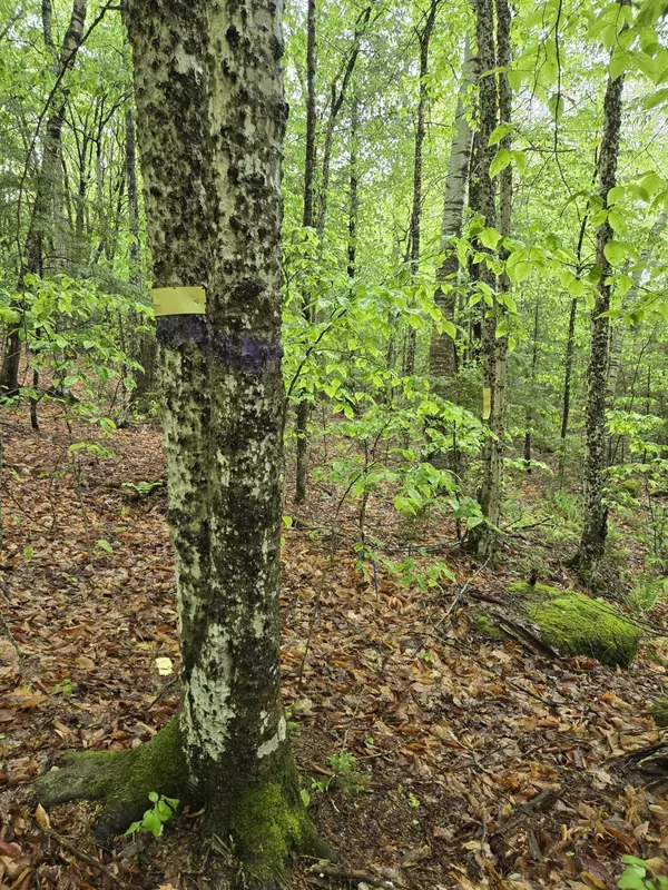 Smithfield, ME 04978,Lot 11 Patriots LN