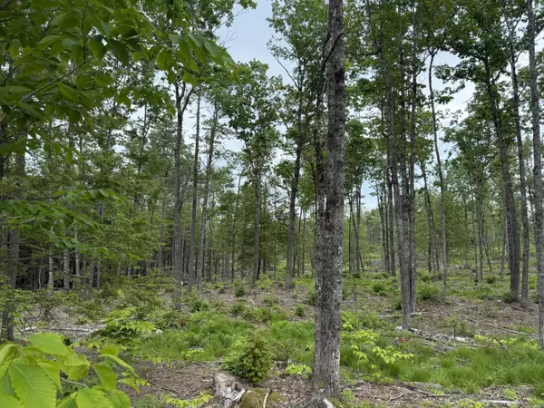 Bridgton, ME 04009,Lot 3 Isaac Stevens RD