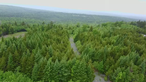 Greenville, ME 04441,14 Alpine RDG