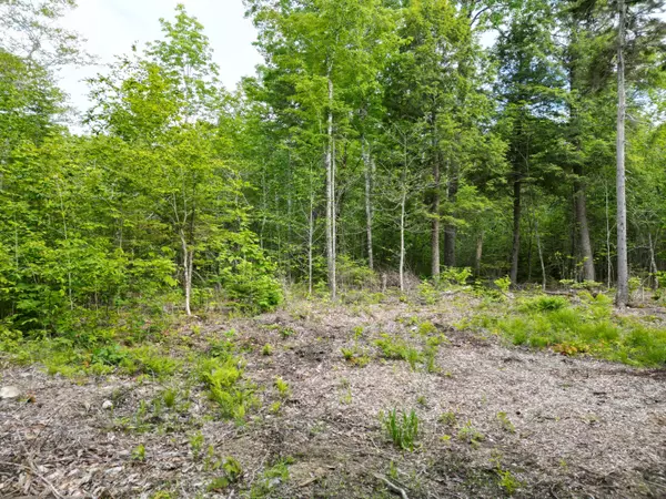Lakeville, ME 04487,Lot 32 Bearce RD