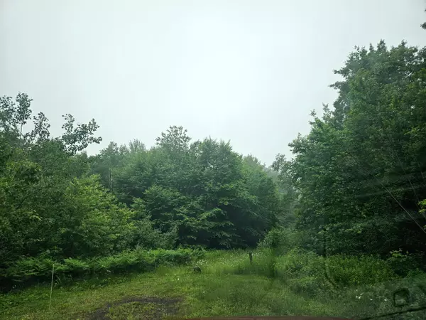 Lot 2-12 Diamond Match RD, Milo, ME 04463