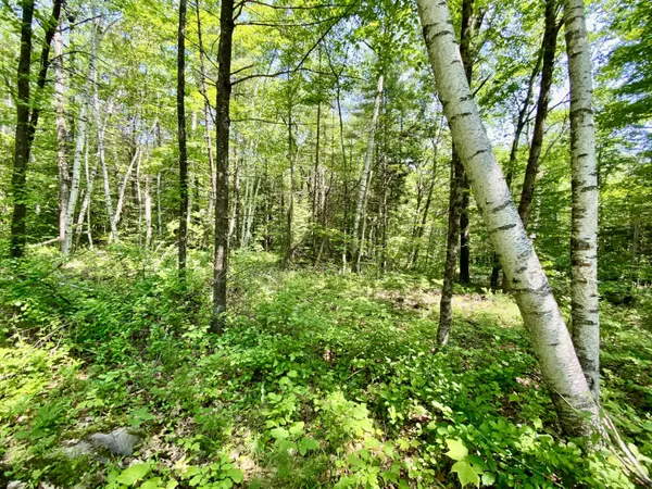 Parsonsfield, ME 04047,00 Maplecrest