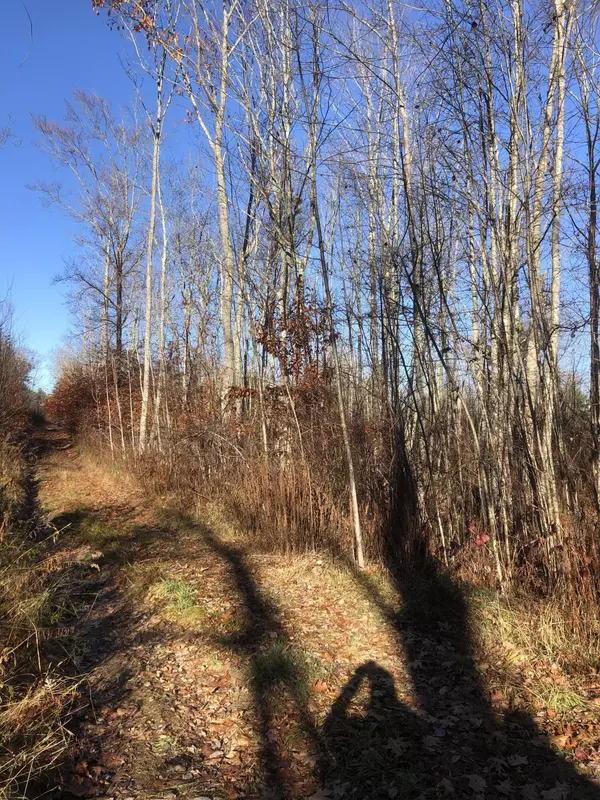 Dresden, ME 04342,M5 Lot 20 Old County RD