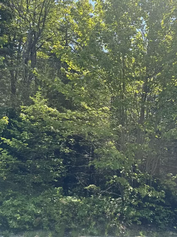 Addison, ME 04606,688 East Side RD