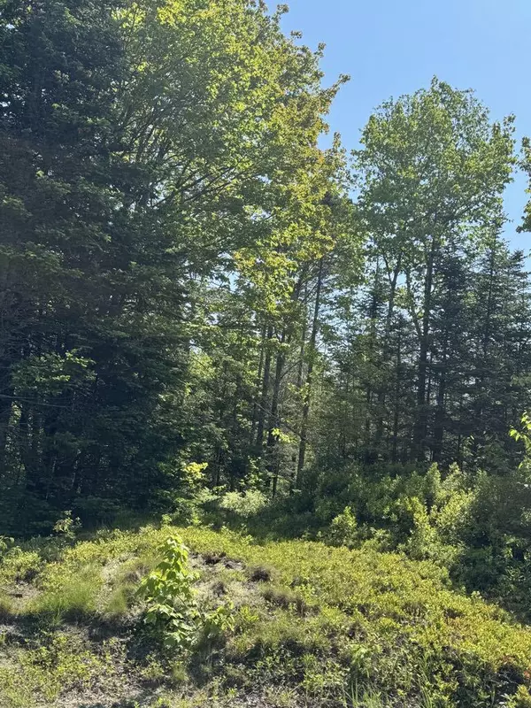 Addison, ME 04606,688 East Side RD