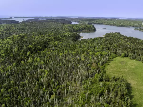 Machiasport, ME 04655,30 Wilkinson LN