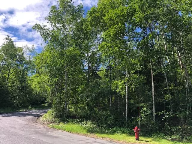 Lot 94 Winter ST, Madawaska, ME 04756