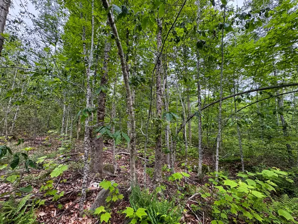 Lakeville, ME 04487,42 Tolerance ALY