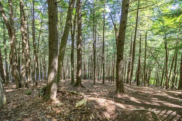 35A-12 Woodland RD,  Winthrop,  ME 04346