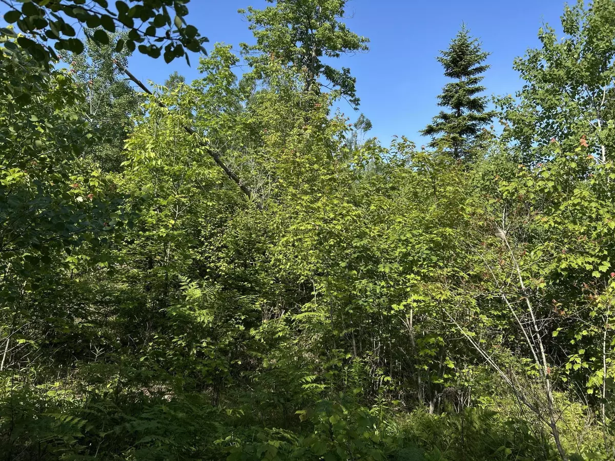 Jackson, ME 04921,M4L19 Village RD