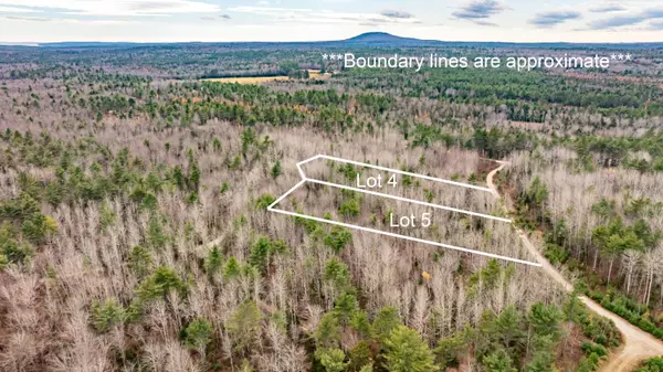 Surry, ME 04684,M10L29A4&5 Miller LN