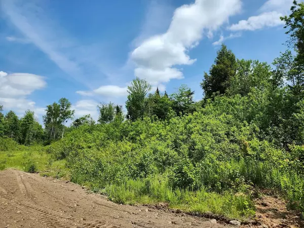 Amity, ME 04471,21.9c off Estabrook RD