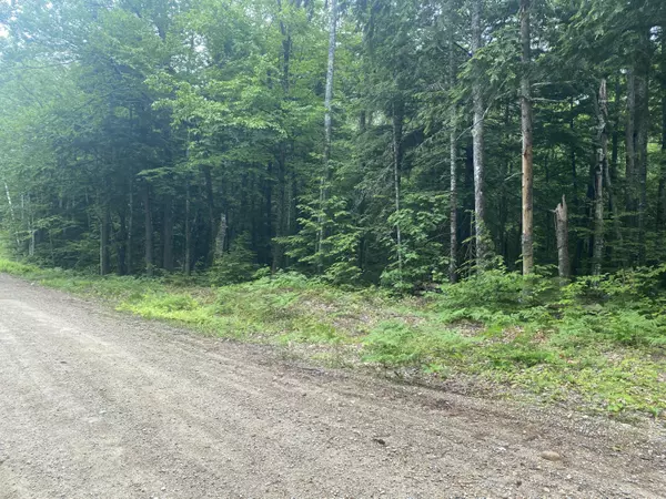 Stow, ME 04037,24 Fernalds Hill WAY