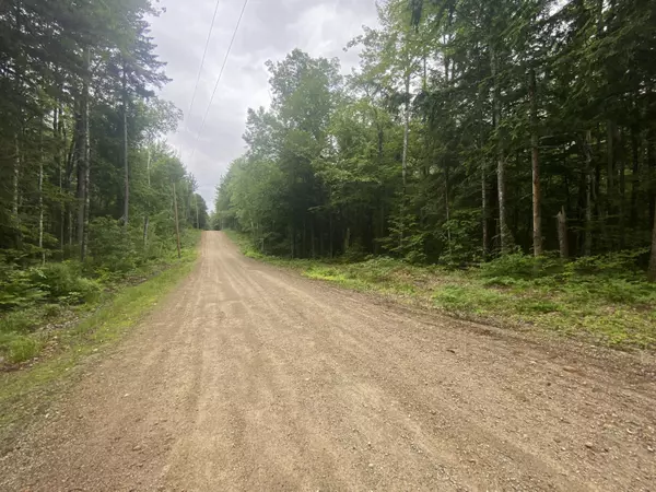 Stow, ME 04037,24 Fernalds Hill WAY