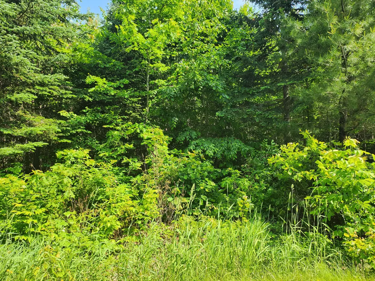 Palmyra, ME 04965,lot 29B Windfall LN
