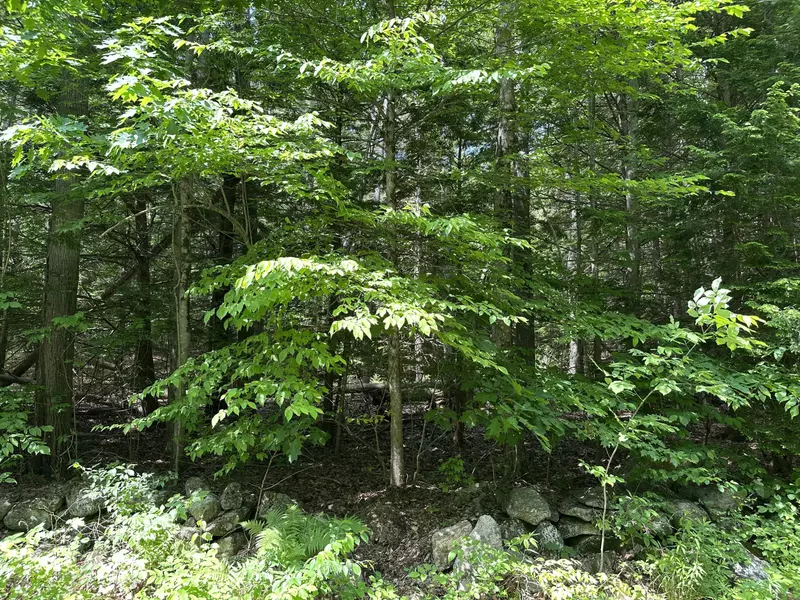 TBD Dingley RD, Bowdoinham, ME 04008