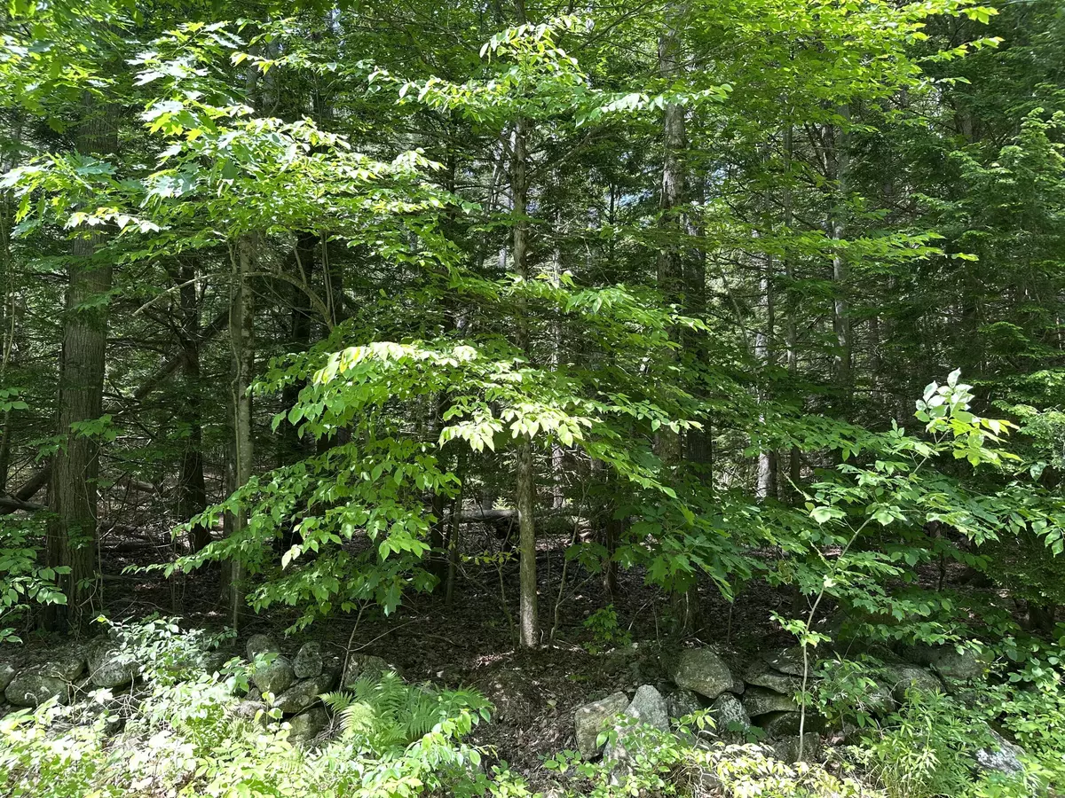 Bowdoinham, ME 04008,TBD Dingley RD