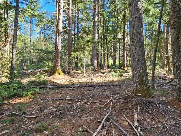 Denmark, ME 04022,0 Hancock Pond RD