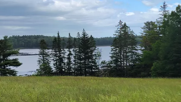 Edmunds Twp, ME 04628,347 Belyea RD