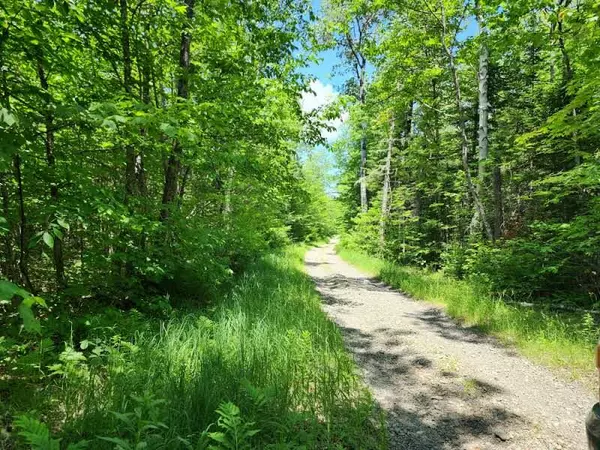 Mount Chase, ME 04765,L 8 McManus Tote RD