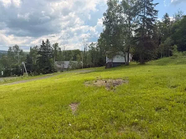 Wallagrass, ME 04781,21 Lamarre RD