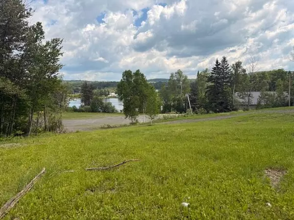 Wallagrass, ME 04781,21 Lamarre RD