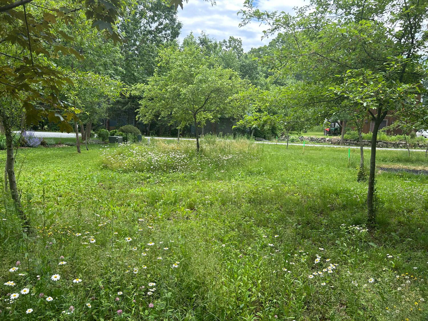 7 Grason LN, Bar Harbor, ME 04609