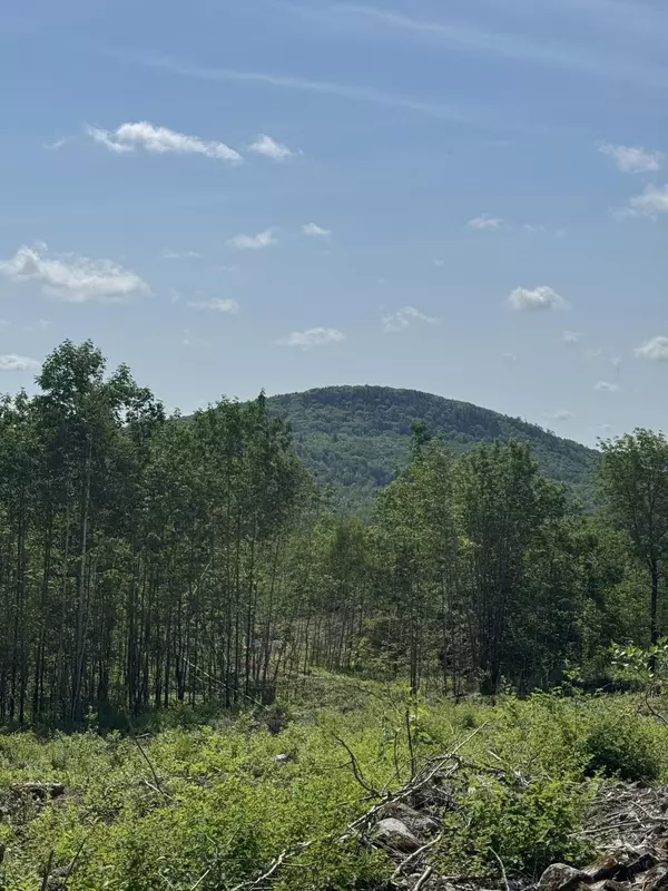 Winterport, ME 04496,365 Monroe RD