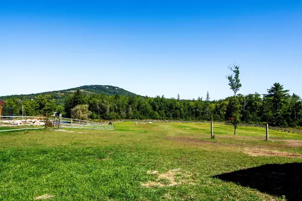 Blue Hill, ME 04614,73 Beech Hill RD