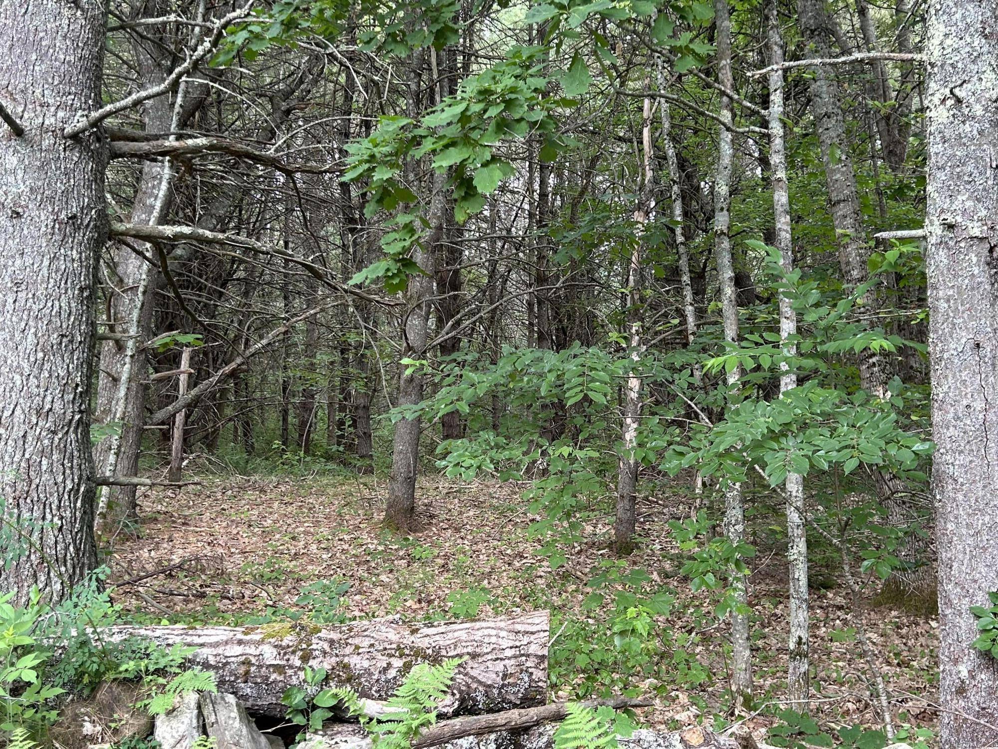 Nobleboro, ME 04555,Lot 5-412 Center ST