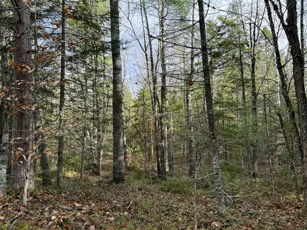 Wesley, ME 04686,L1117&1118 Burke ST