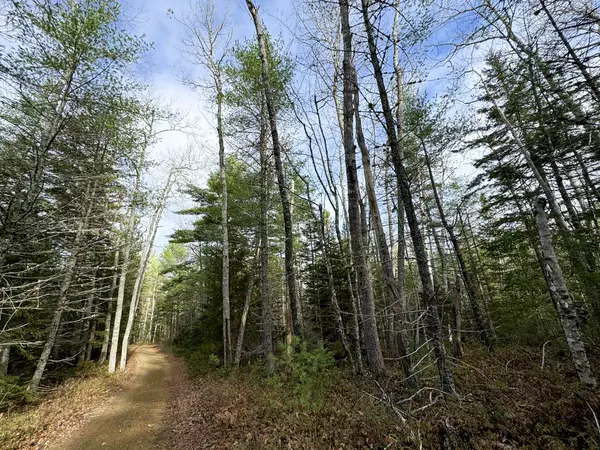 L1117&1118 Burke ST, Wesley, ME 04686