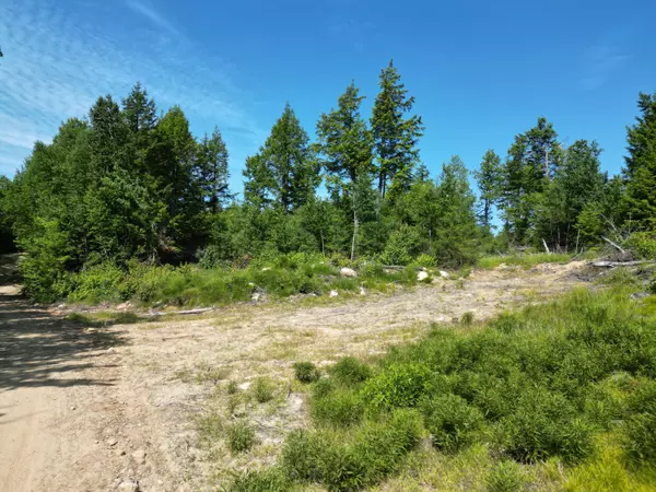 Beddington, ME 04622,Lot 39 Southwest Brook LN