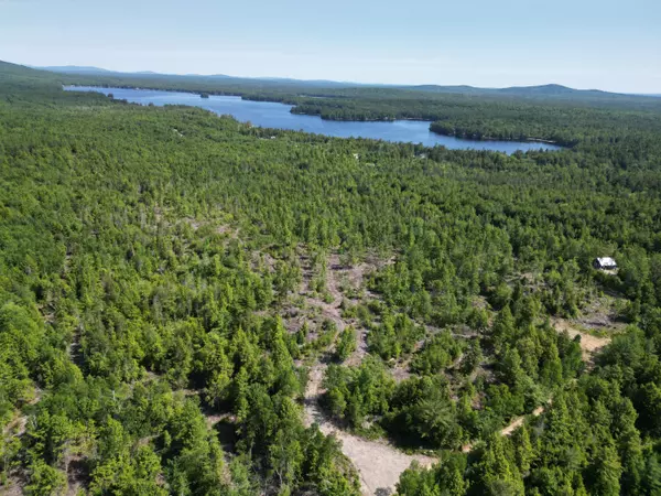 Beddington, ME 04622,Lot 39 Southwest Brook LN