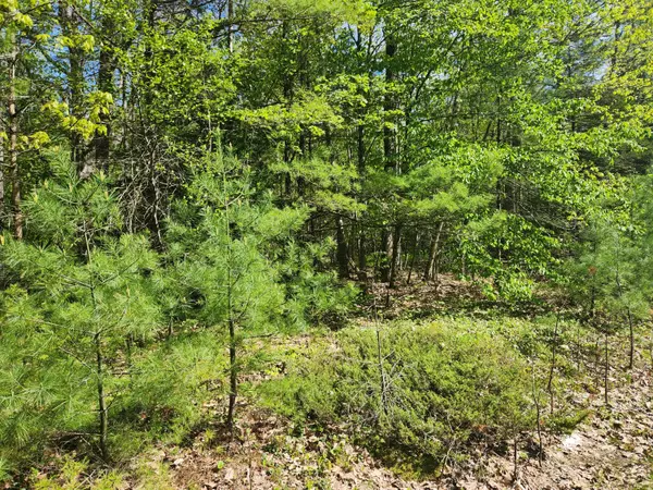 Alna, ME 04535,Map R1 21 Alna RD