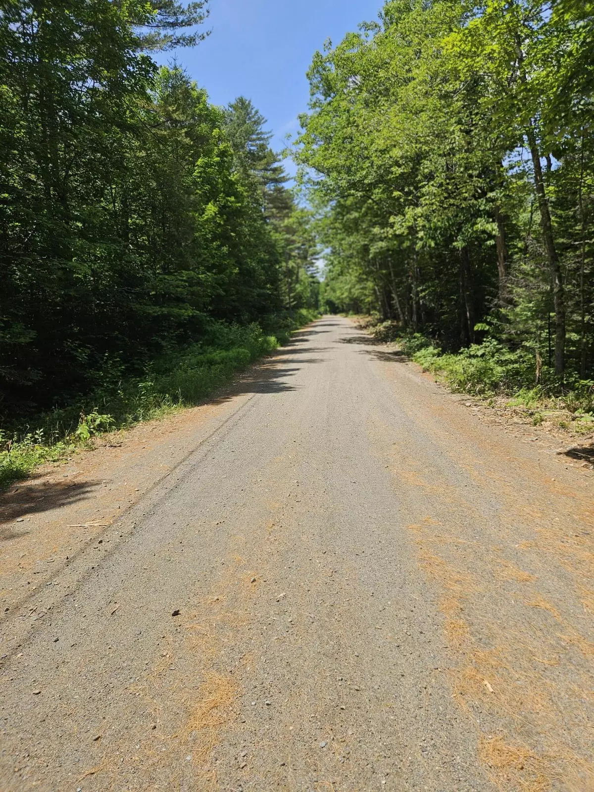 Phillips, ME 04966,67 Parlin RD