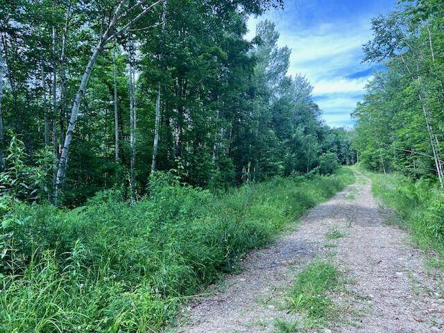 Lot  14D-2 Music RD, Farmington, ME 04938
