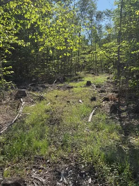 Cooper, ME 04657,Lot #11 Tower RD