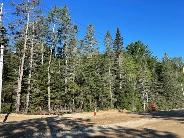 Cherryfield, ME 04622,Lot 3-2 Milbridge Road