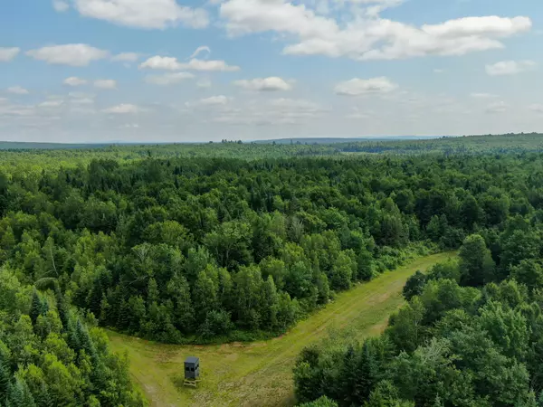 M11L11 Sheepskin RD, Carroll Plt, ME 04487